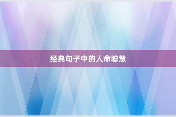 经典句子中的人命聪慧