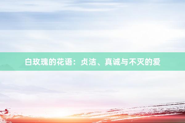 白玫瑰的花语：贞洁、真诚与不灭的爱