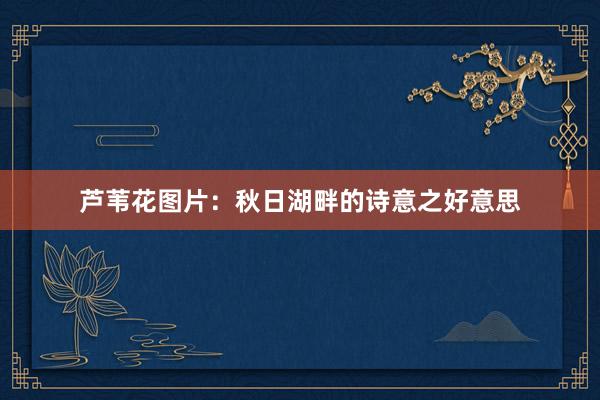 芦苇花图片：秋日湖畔的诗意之好意思