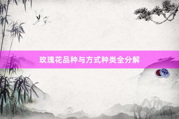 玫瑰花品种与方式种类全分解